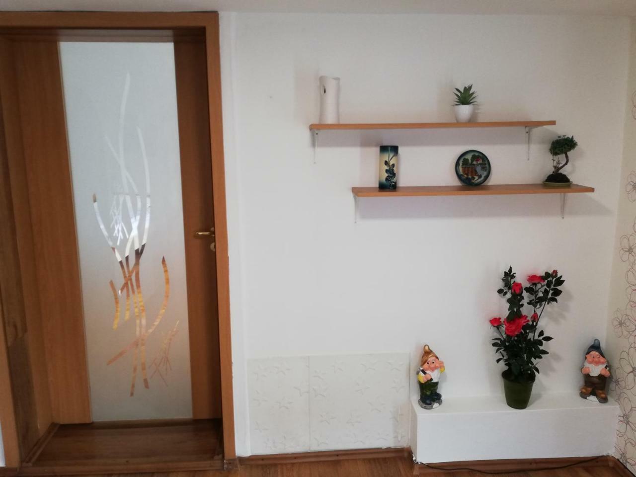 Arina'S Apartments 布拉索夫 外观 照片